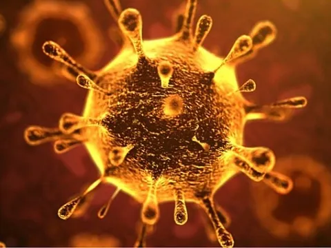 Vì sao WHO đặt tên 'COVID-19' cho virus Corona chủng mới?